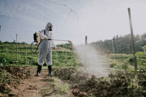 Best Commercial Pest Control Services  in Ovid, MI