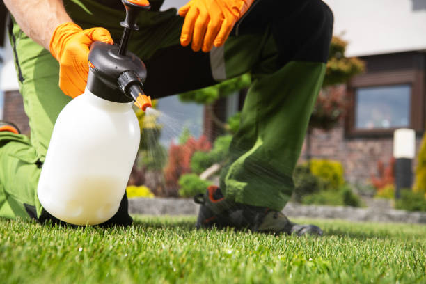 Best Ant Control Services  in Ovid, MI