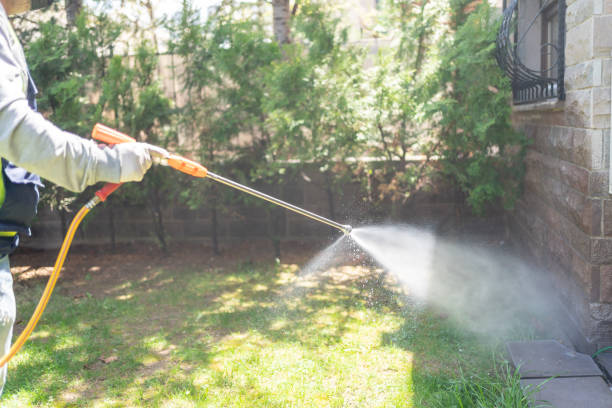 Best Rat Extermination Near Me  in Ovid, MI