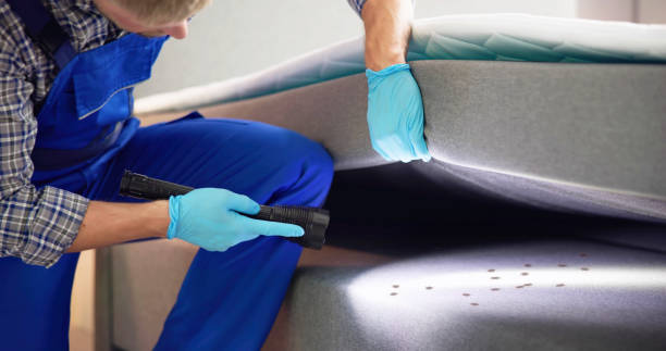 Best Local Pest Control Services  in Ovid, MI