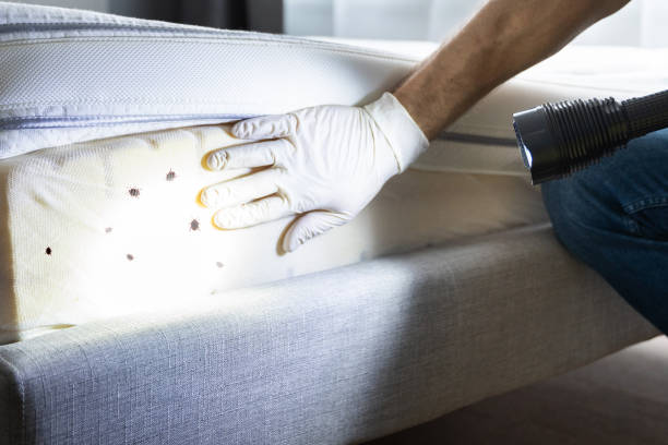 Best Residential Pest Control  in Ovid, MI