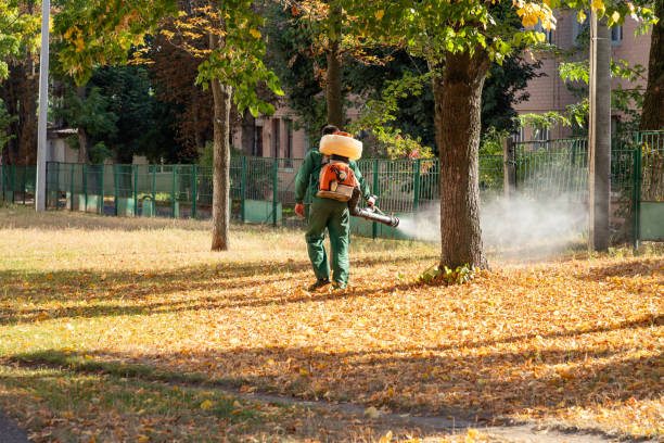 Best Pest Control Near Me  in Ovid, MI