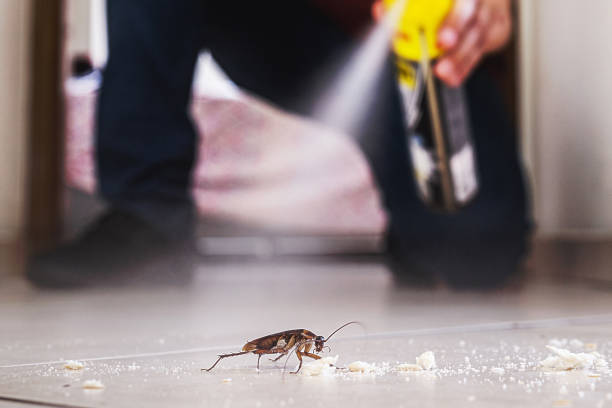 Best Cockroach Control Services  in Ovid, MI