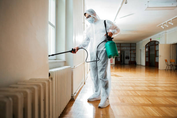 Best Cockroach Control Services  in Ovid, MI