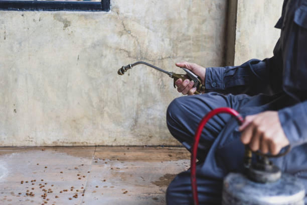 Best Local Pest Control Services  in Ovid, MI